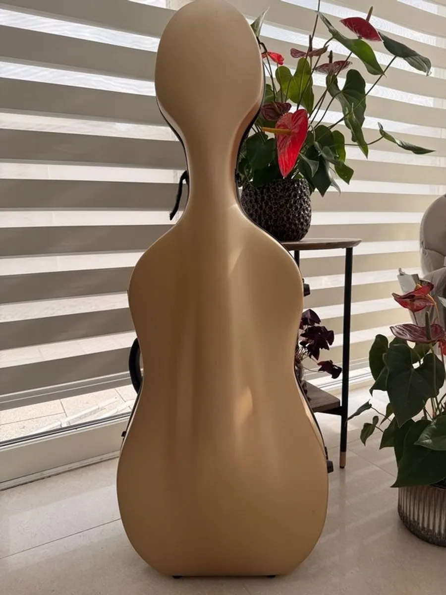 1/2 size cello - Image 2