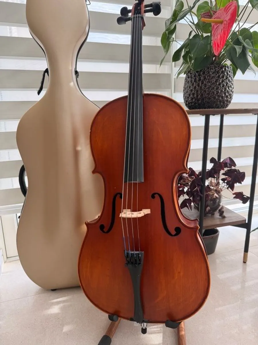 1/2 size cello - Image 3