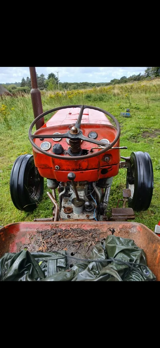 Massey ferguson 135 - Image 1
