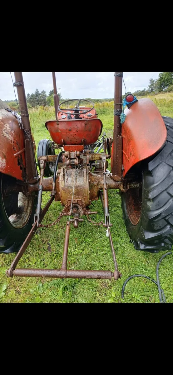 Massey ferguson 135 - Image 2