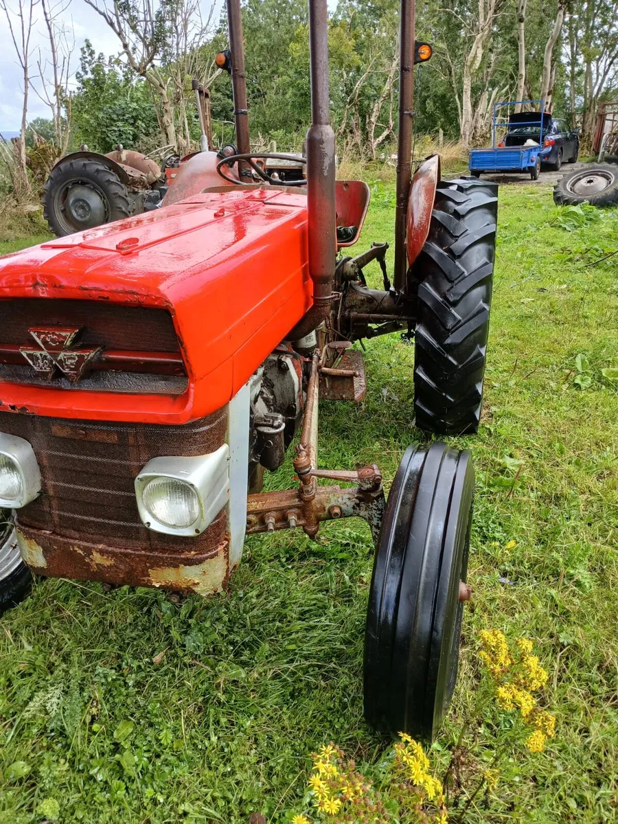 Massey ferguson 135 - Image 3