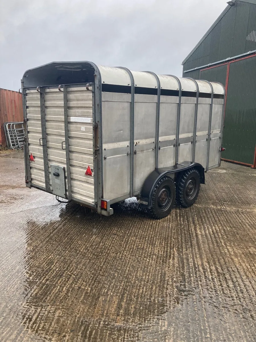 Ifor Williams livestock trailer - Image 2