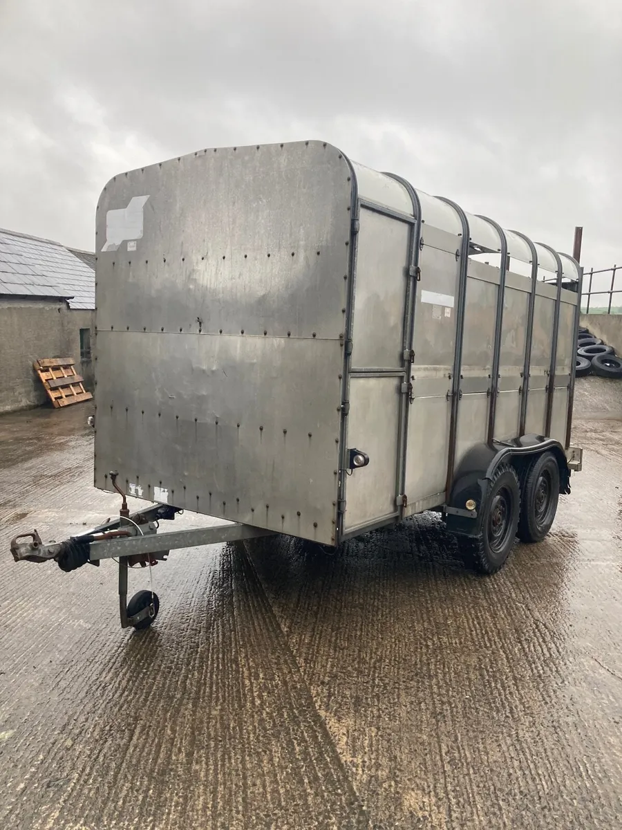 Ifor Williams livestock trailer - Image 1