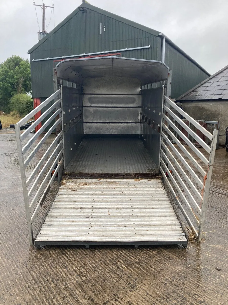 Ifor Williams livestock trailer - Image 4