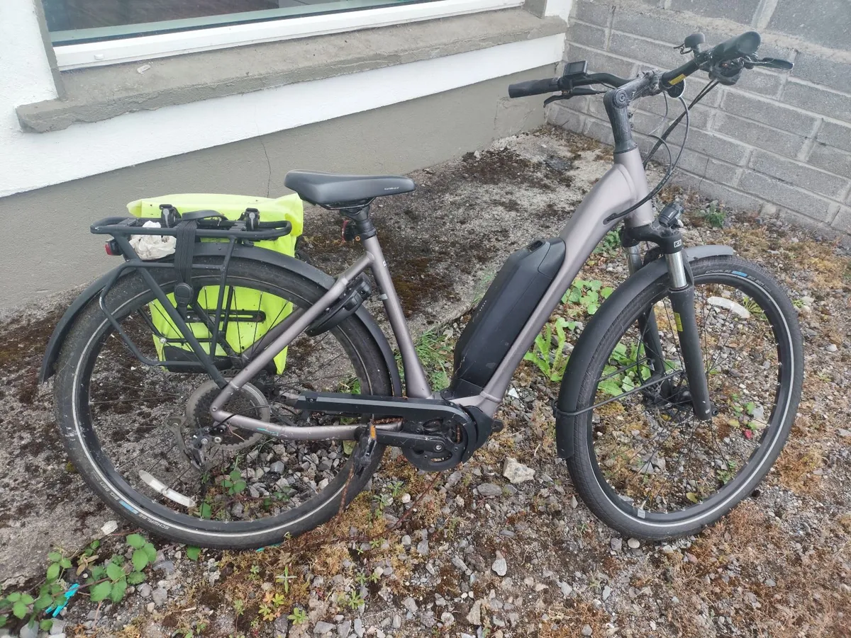 Hybrid bike