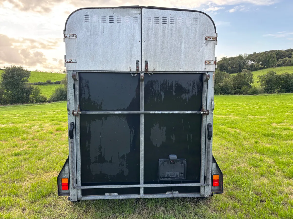 Ifor williams 505 horsebox - Image 4