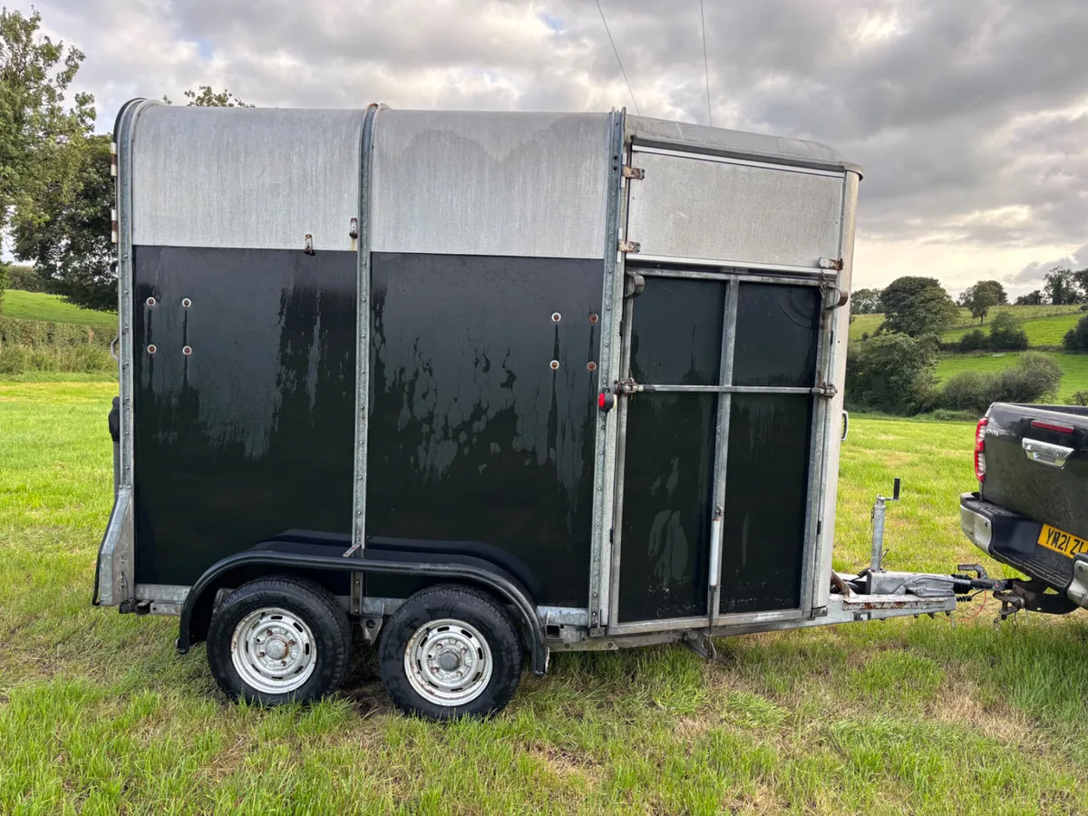 Ifor williams 505 horsebox - Image 2