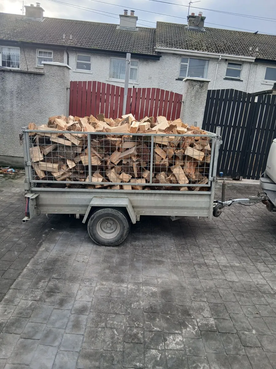Seasoned firewood - Image 3