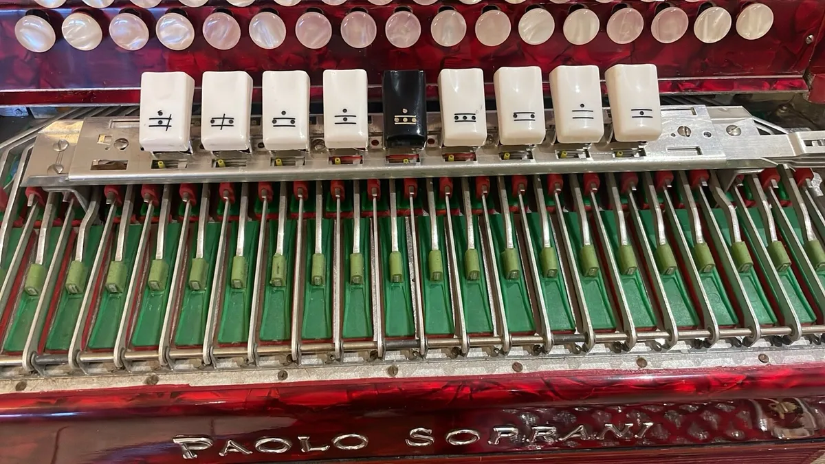 Accordion - Image 4