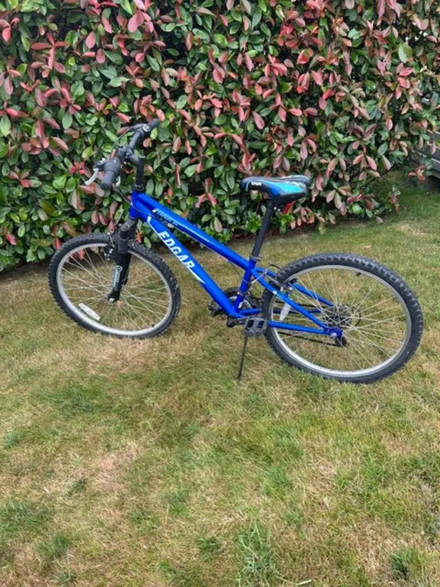 Bicycle/Bike and Flicker - Image 1