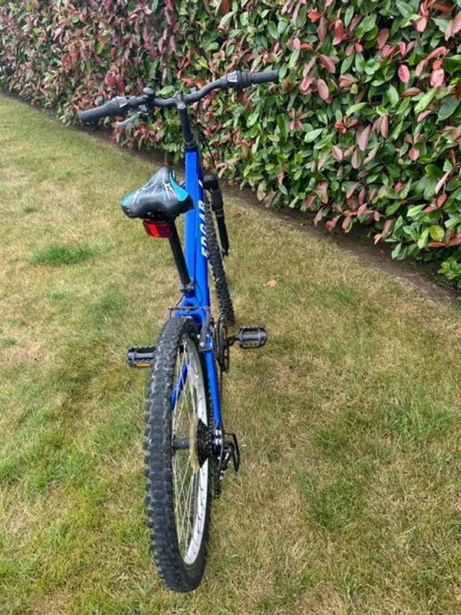 Bicycle/Bike and Flicker - Image 2