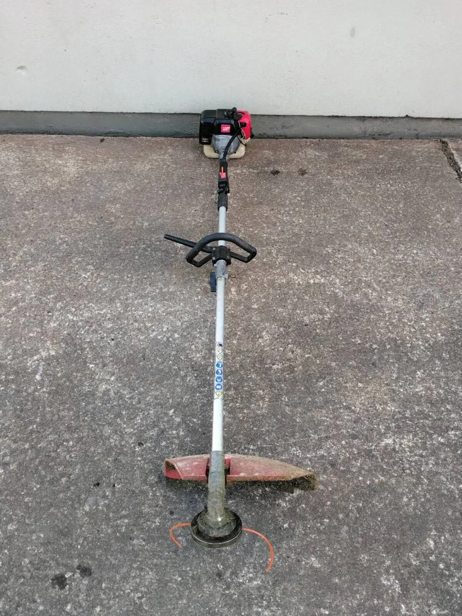 Castlegarden Strimmers - Image 3