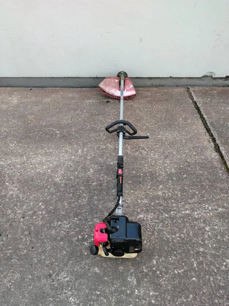 Castlegarden Strimmers - Image 4