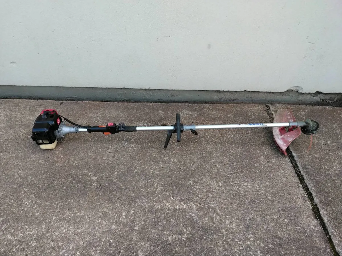 Castlegarden Strimmers - Image 1