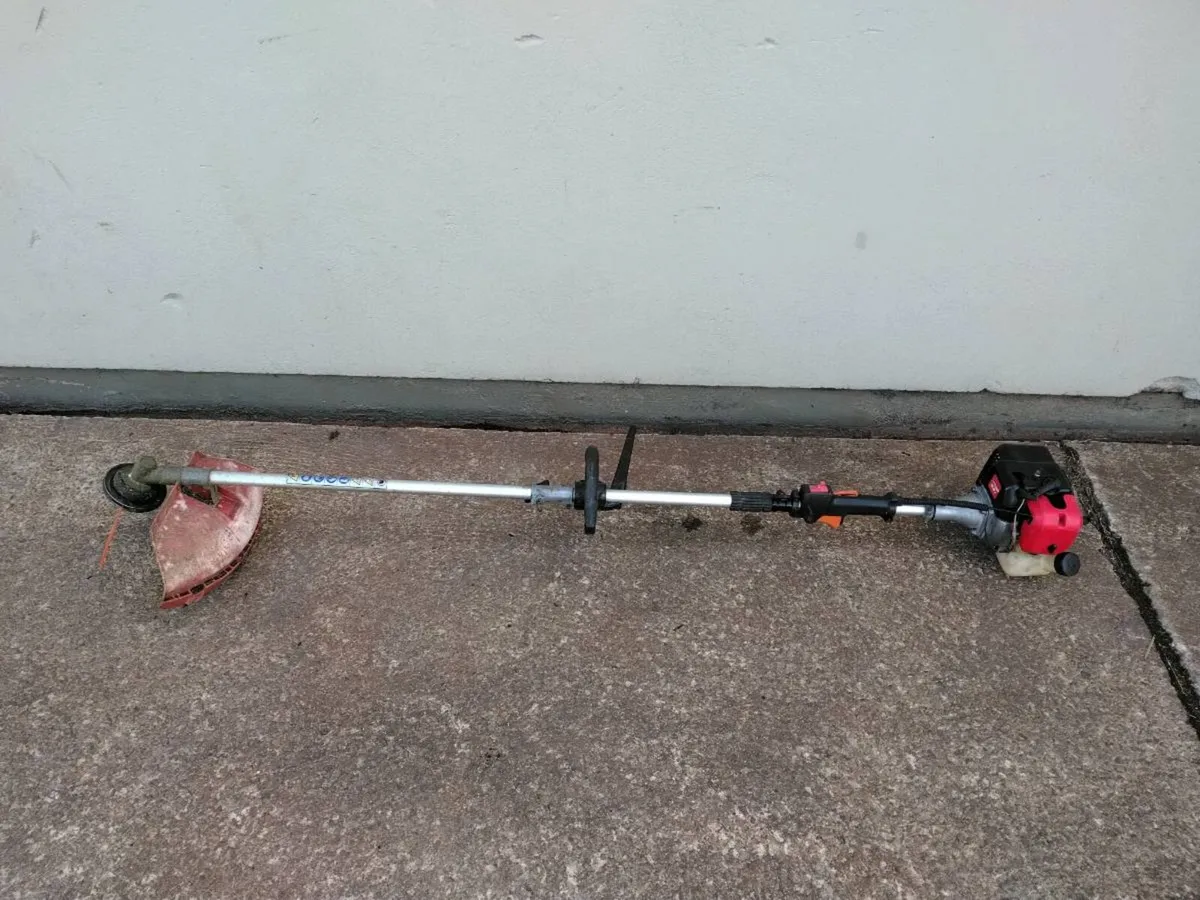 Castlegarden Strimmers - Image 2
