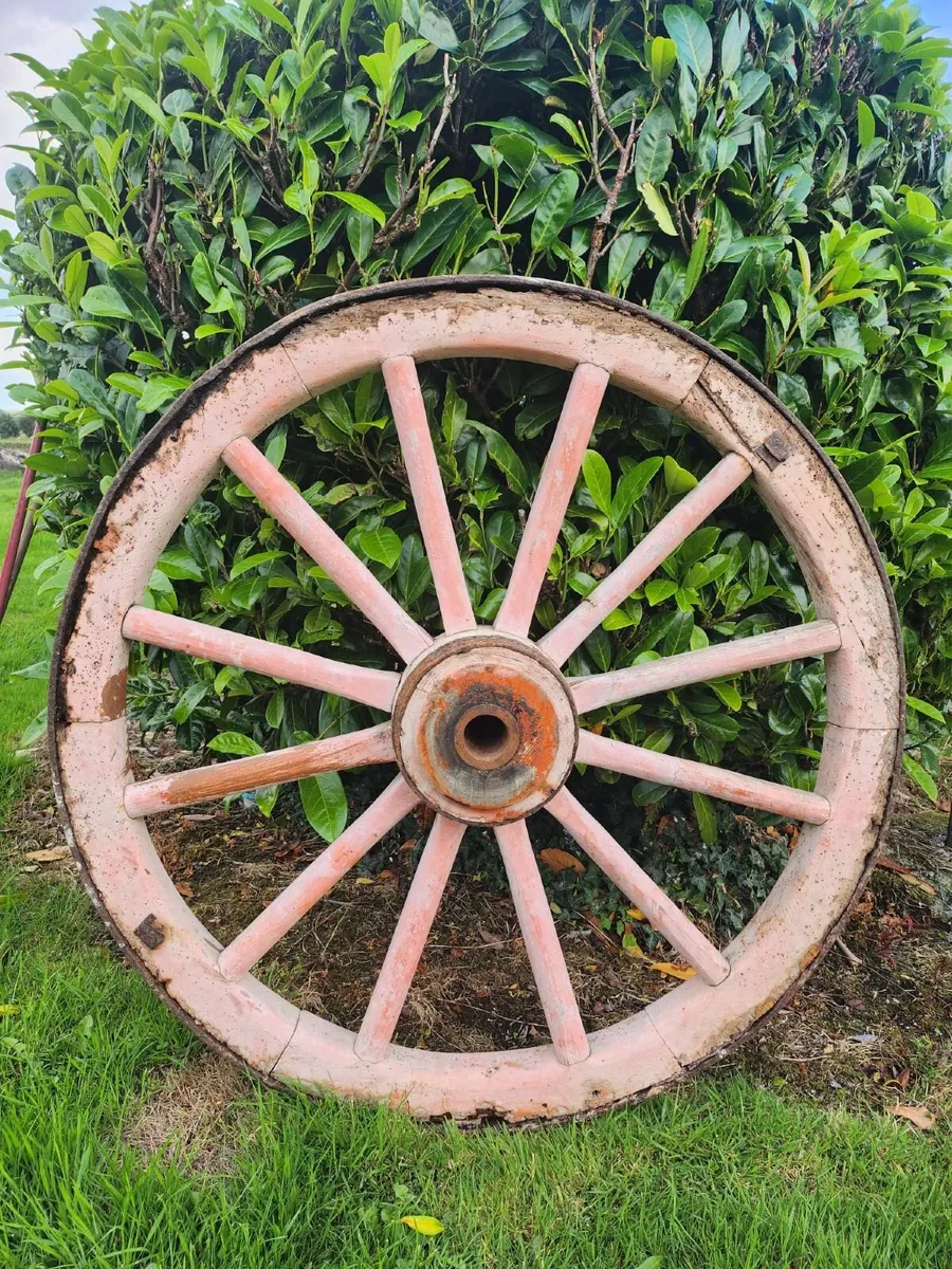 Donkey Cart Wheel - Image 1