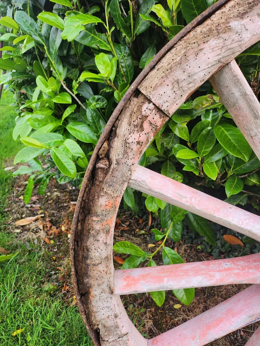 Donkey Cart Wheel - Image 3