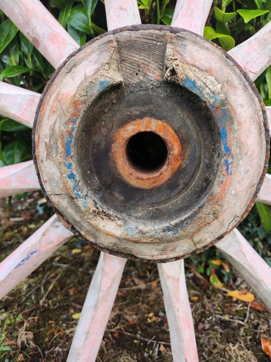 Donkey Cart Wheel - Image 4