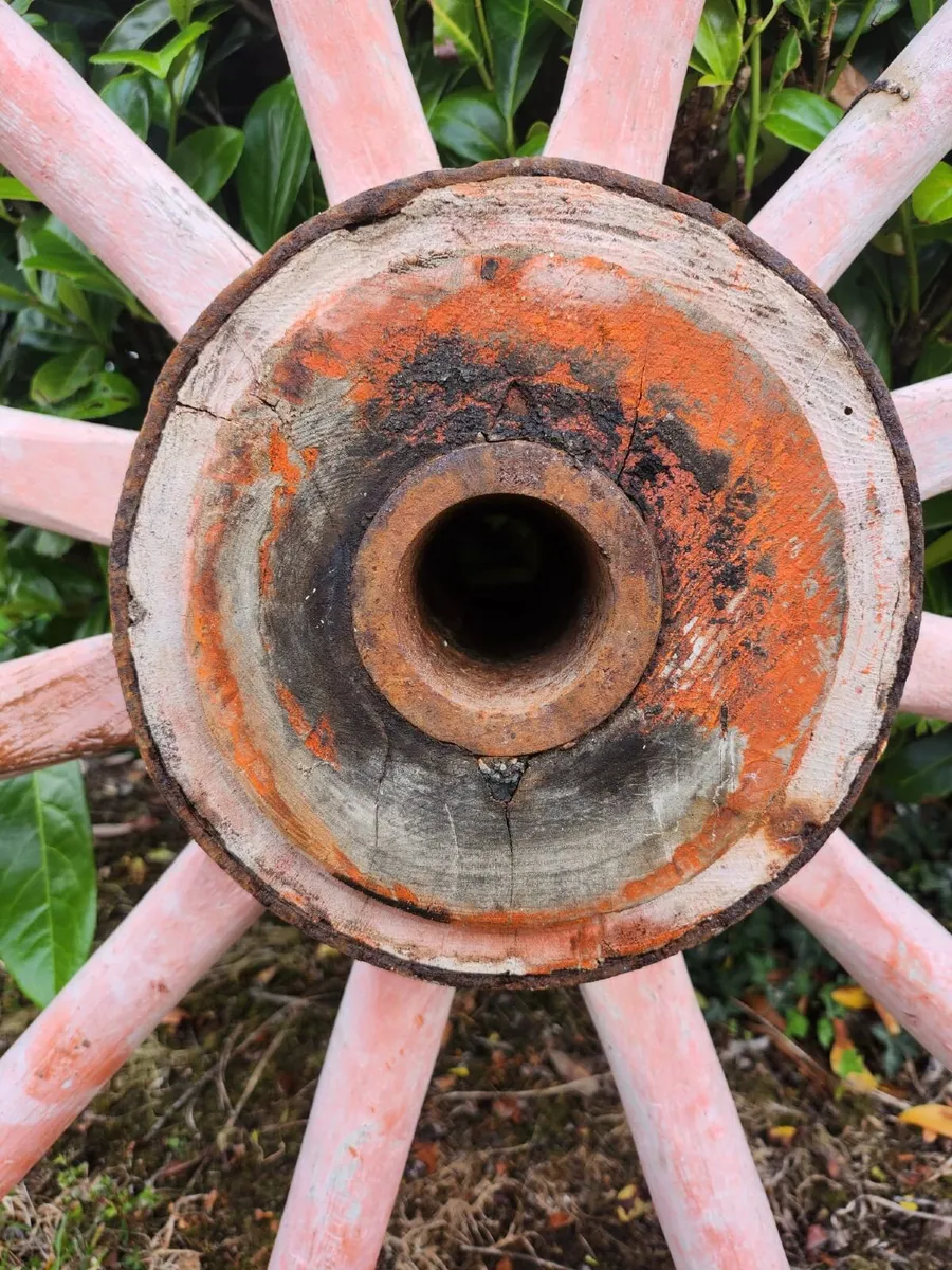 Donkey Cart Wheel - Image 2