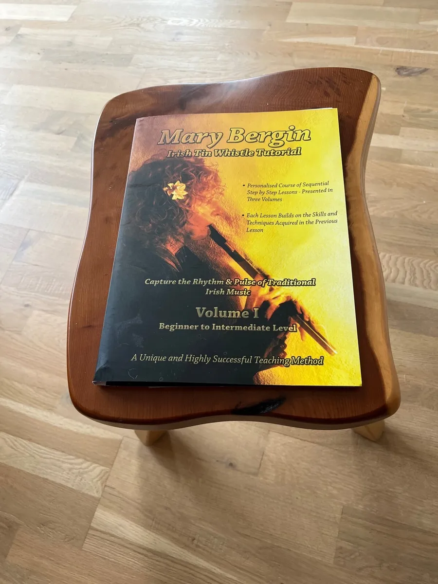 Mary Bergin Tin Whistle Tutorial book - Image 1