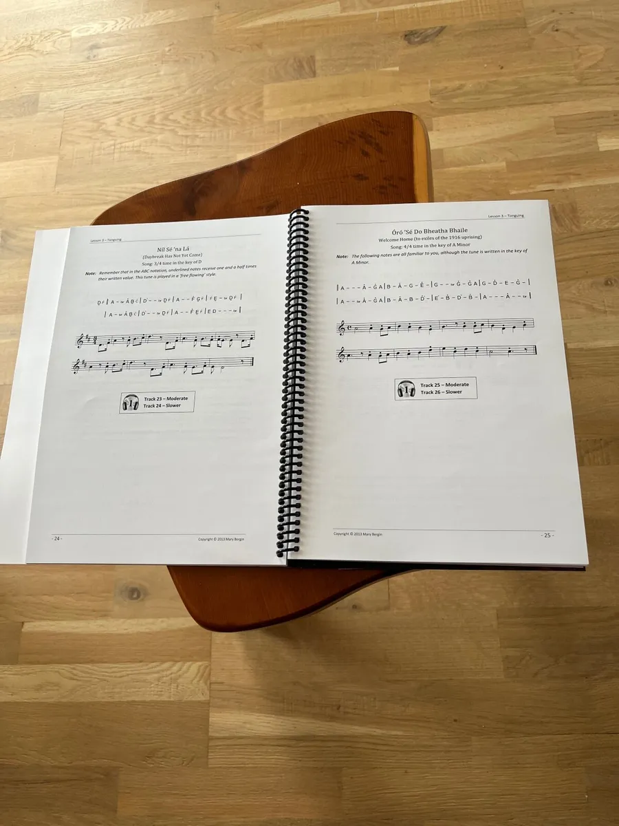 Mary Bergin Tin Whistle Tutorial book - Image 2