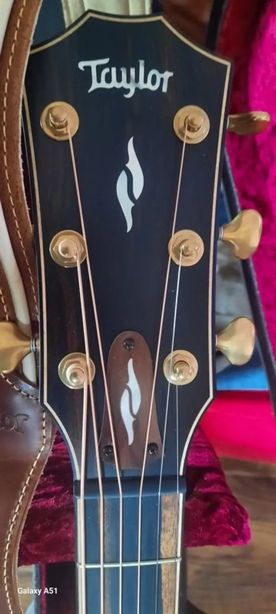 taylor 814 ce builders addition - Image 3