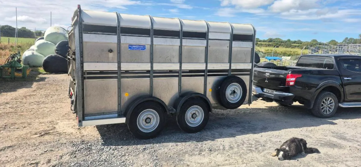 Ifor williams cattle trailer - Image 2