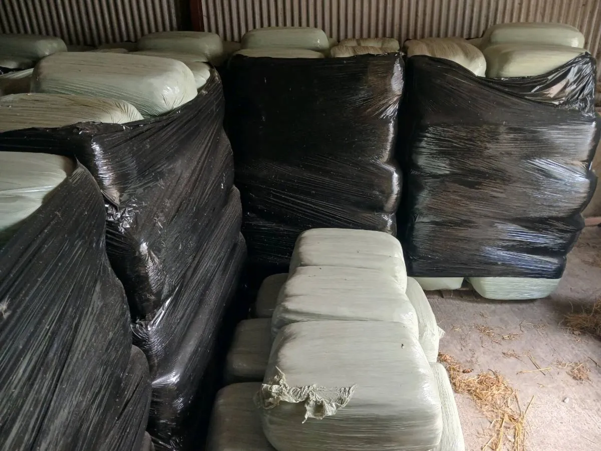 Haylage for sale - Image 2