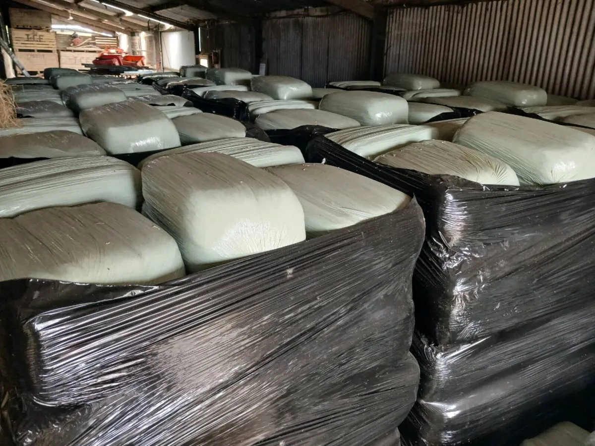 Haylage for sale - Image 3