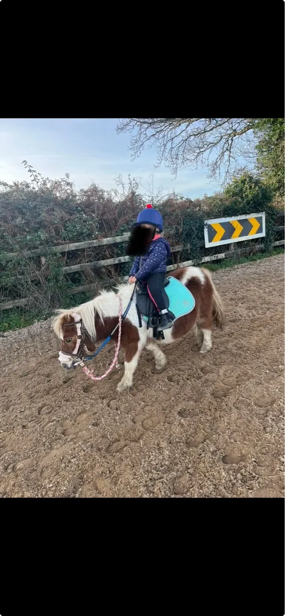 Bella sparkle quiet pony - Image 2