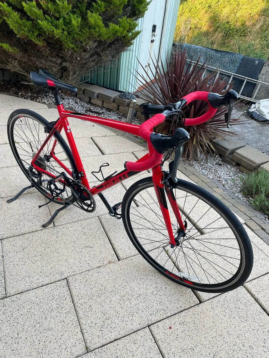 Giant Contend road bike - Image 1