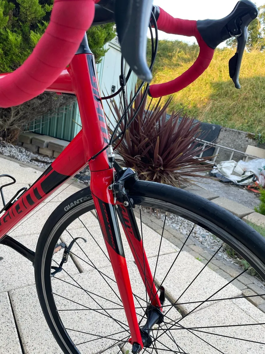 Giant Contend road bike - Image 4