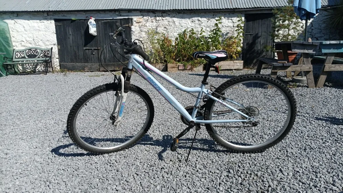 Girls 24" Mountain Bike Purple - Image 1