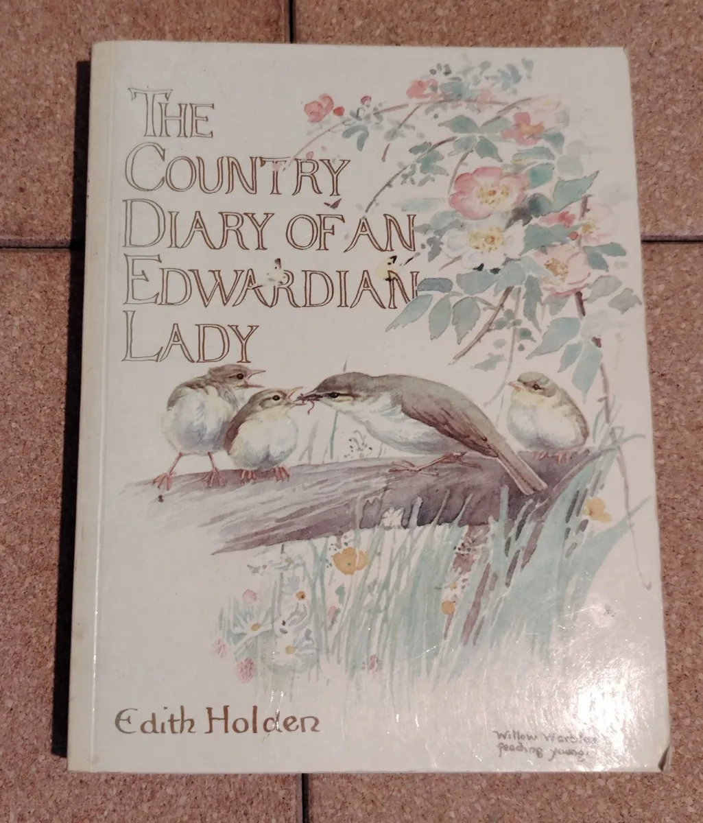 Edith Holden - Country Diary of an Edwardian Lady - Image 1