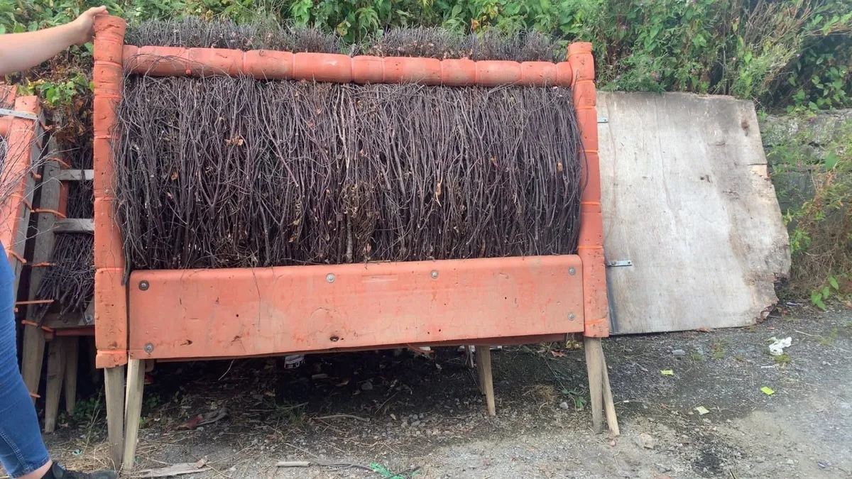 Race hurdles - never used - Image 3