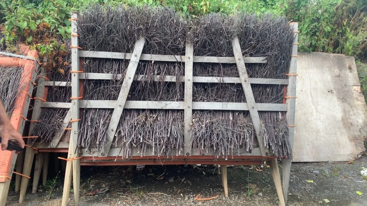 Race hurdles - never used - Image 4