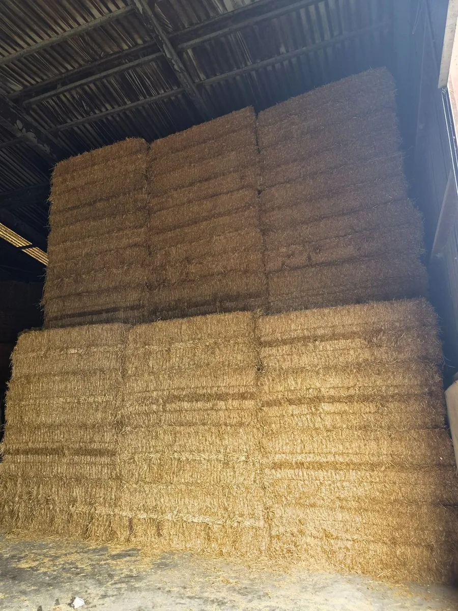 Pre Chopped Irish Straw - Image 1