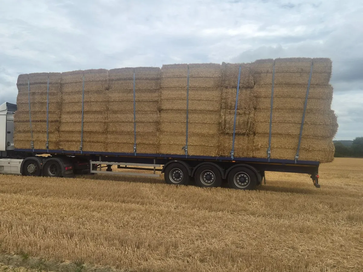Pre Chopped Irish Straw - Image 3