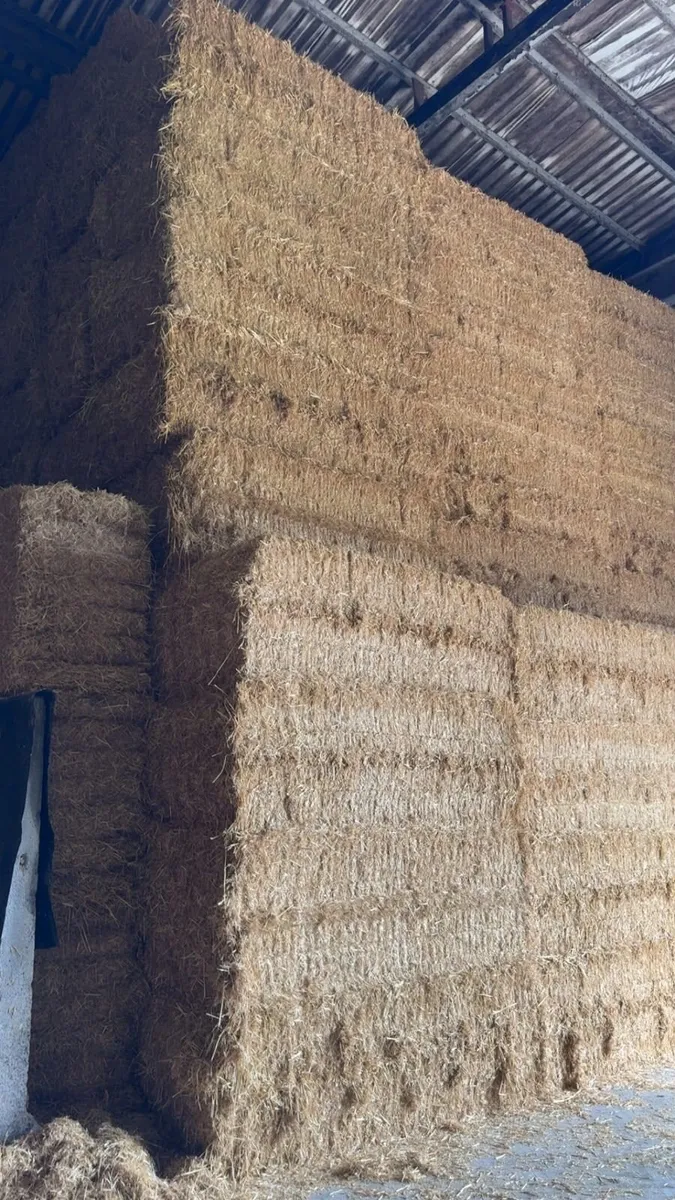 Pre Chopped Irish Straw - Image 4