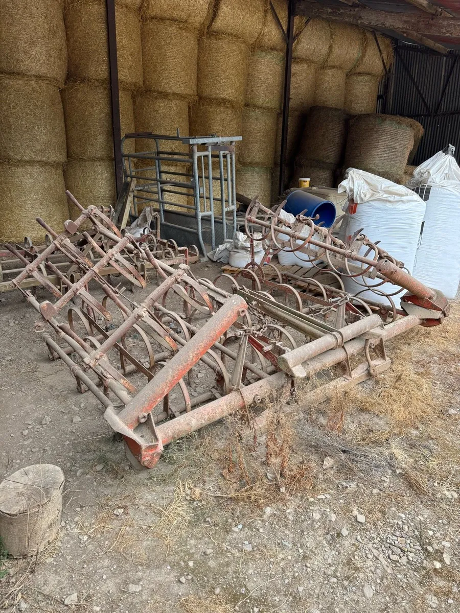 15 foot tine harrow - Image 2