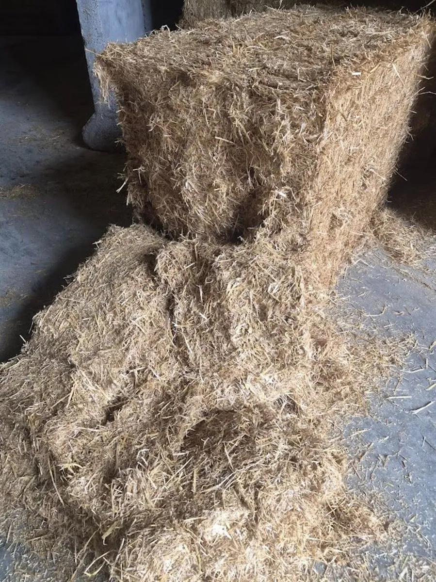 Pre Chopped Irish Straw - Image 2