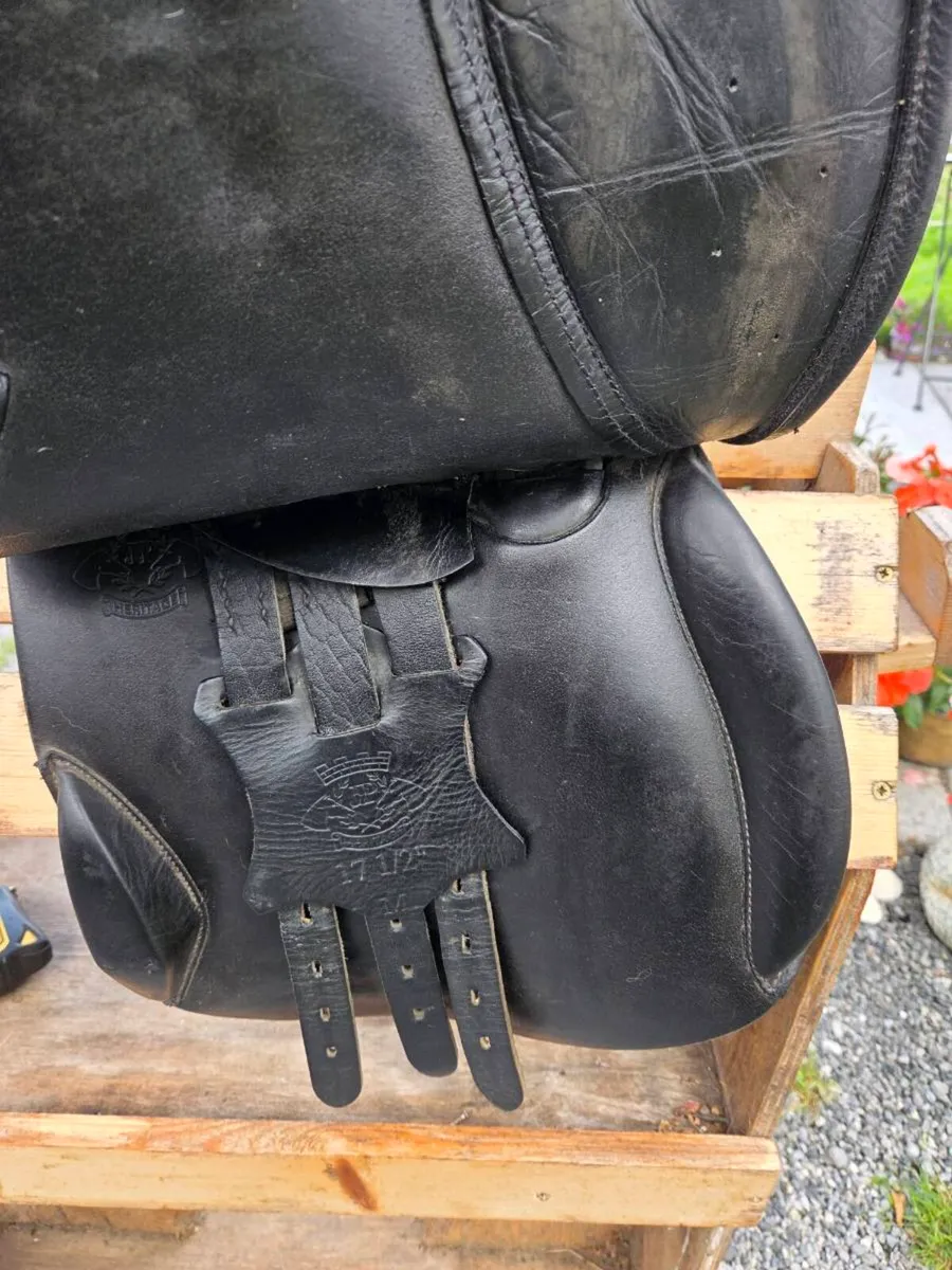 Heritage close contact jump saddle - Image 3