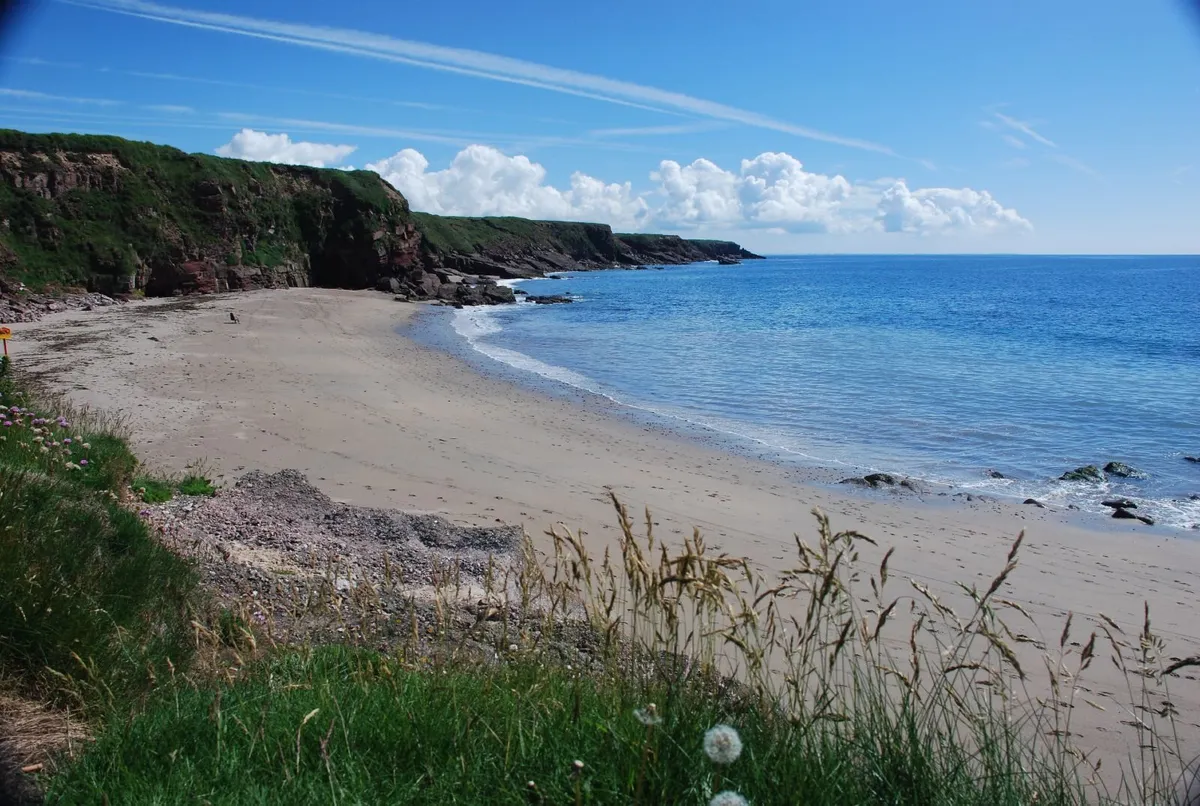 Holiday Home on the Sunny South East, Wexford - Image 2