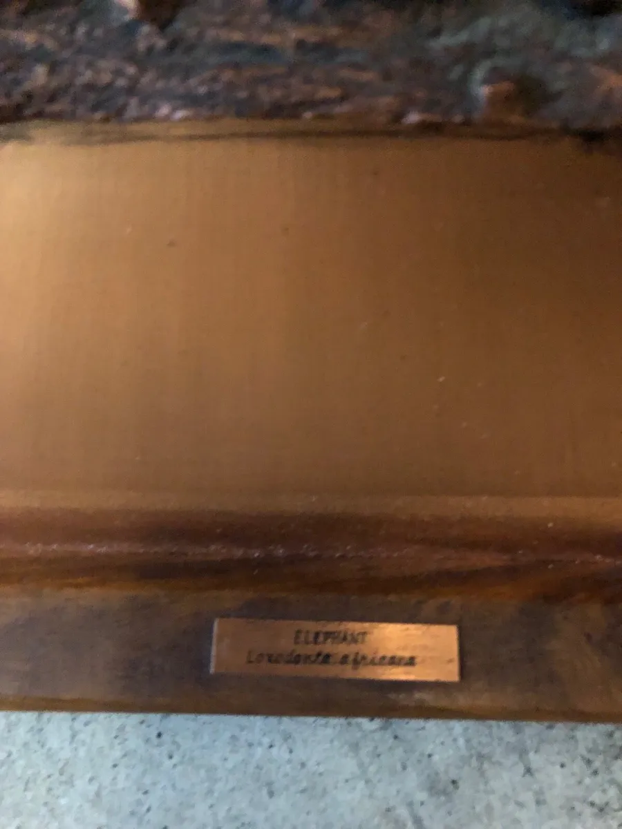 Elephant print - Image 3