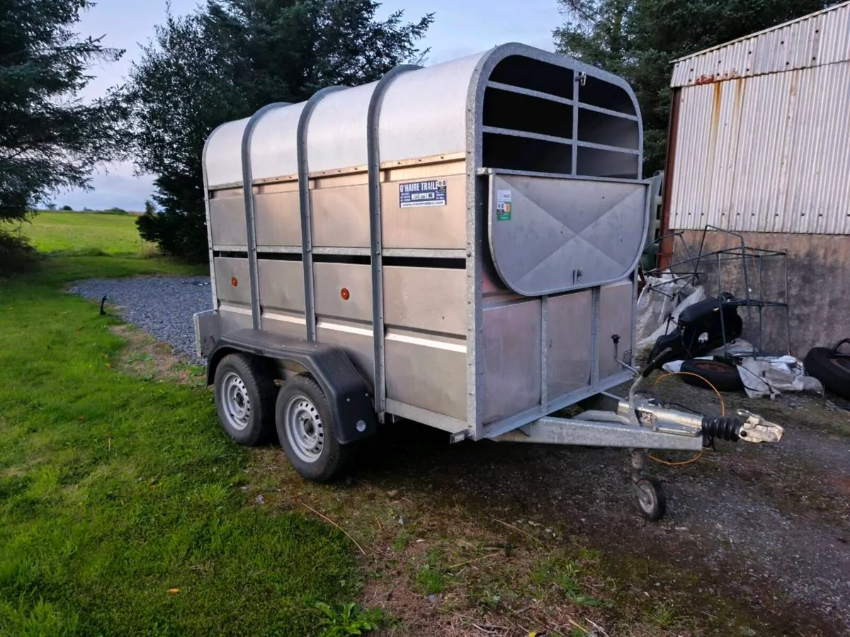 Trailer - Image 1