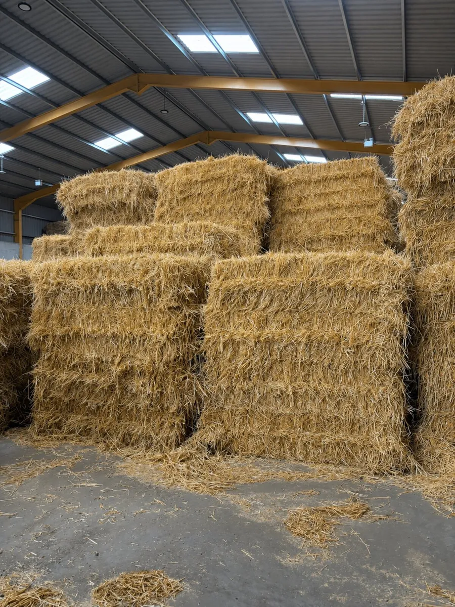 Straw - Image 1