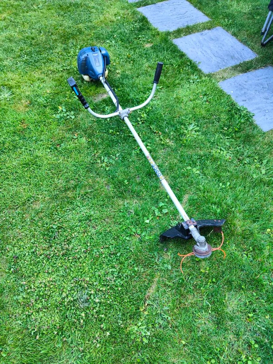 Strimmer - Image 1