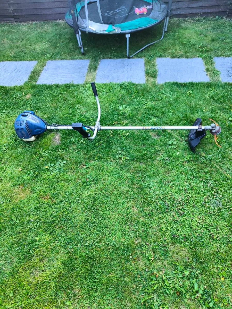 Strimmer - Image 2