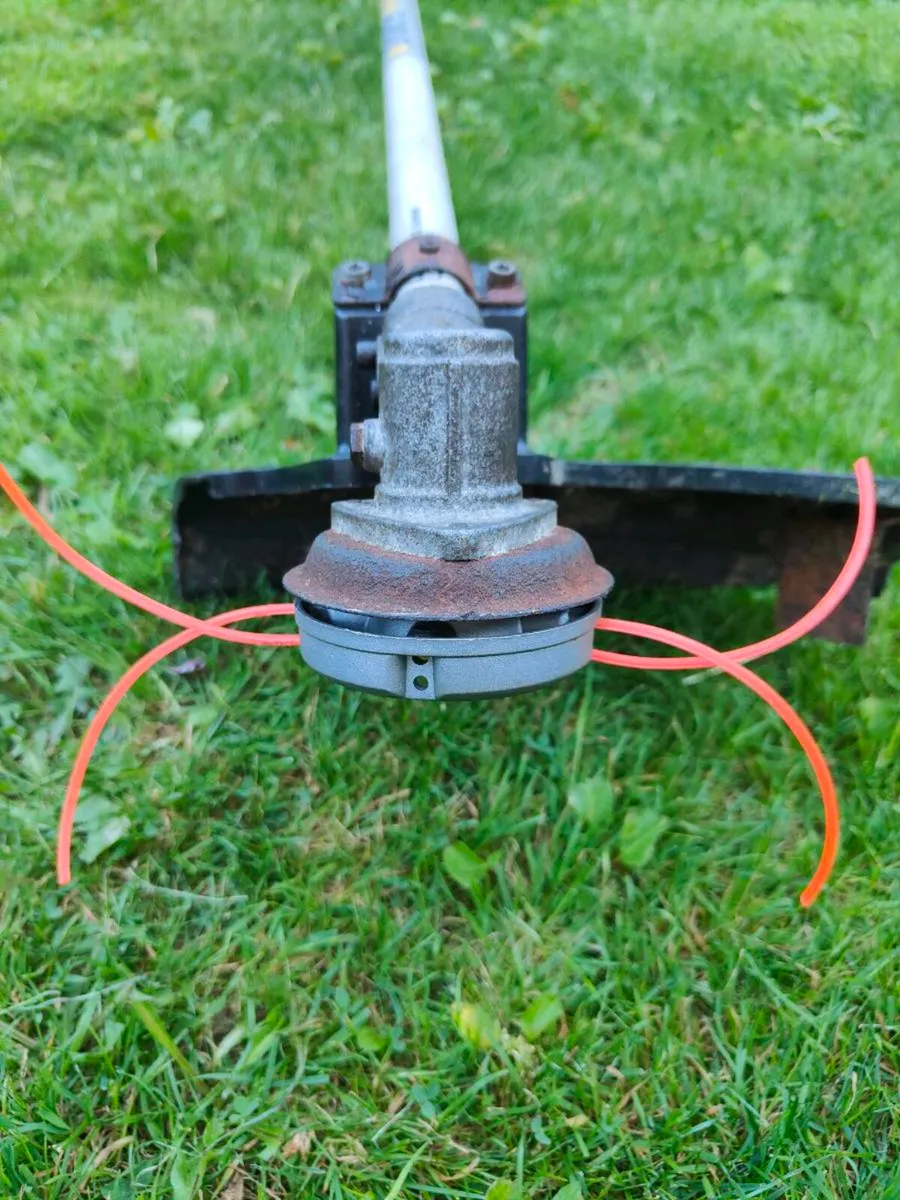 Strimmer - Image 3