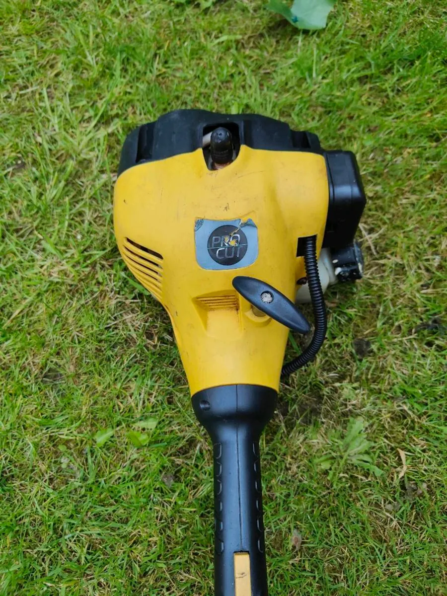 Strimmer - Image 1